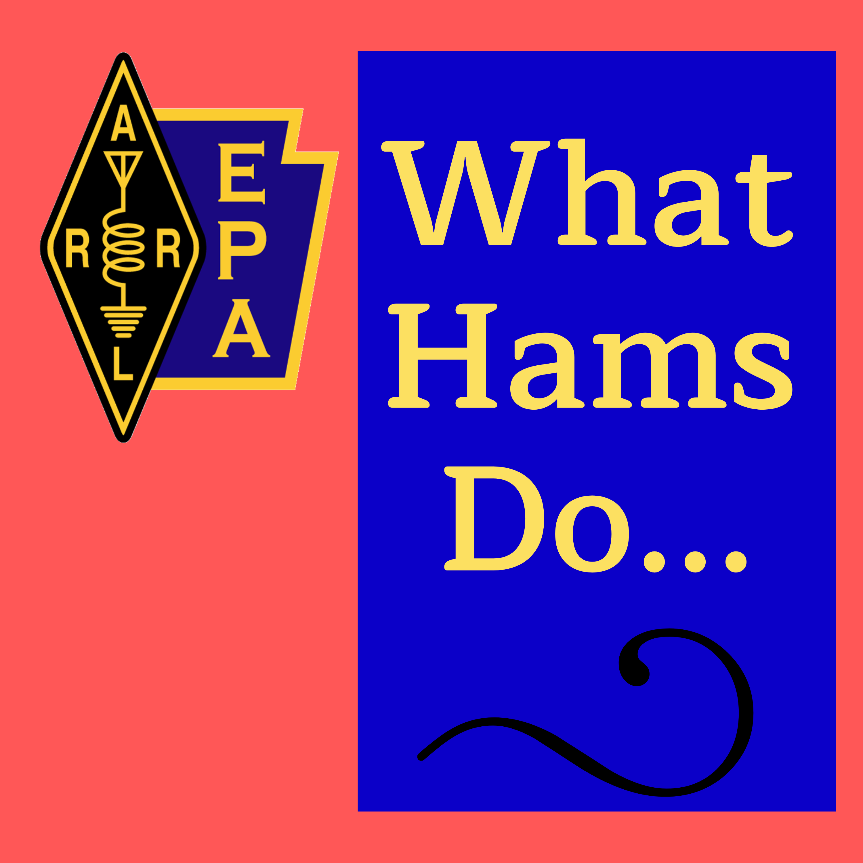 What Hams Do...